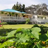 Aloha Junction Bed and Breakfast -Minutes away from Hawaii Volcanoes National Park, hotel a Volcano