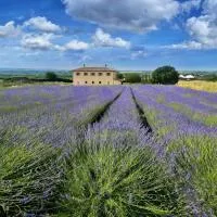 Terre di Vulci Fiora, Hotel in Canino