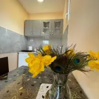 Apartman Petko, hotel u gradu Križevac