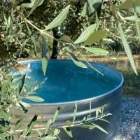 Glamping - La Giara، فندق في San Demetrio Corone