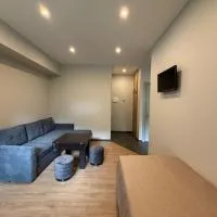 Viesnīca Apartamentai Prienuose - Patogi nakvynė šalia Birštono pilsētā Prieni