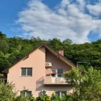 STD Gavrilović, hotel em Bajina Bašta