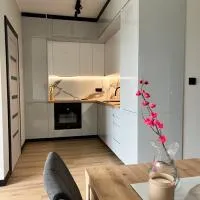 Apartament w Kębłowie, hotel u gradu 'Kębłowo'