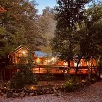 Termas de Chillán Family Cabin, hotel en Recinto