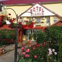 Motel Biamin, מלון בטשנד
