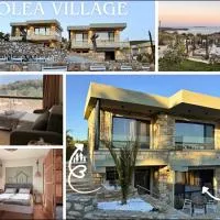 Olea Village, hotell i Potos