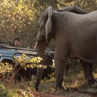 Karongwe - Chisomo Safari Camp โรงแรมในโฮดสปรูท