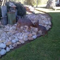 Grysbok Self Catering Accommodation, hotel din Oudtshoorn
