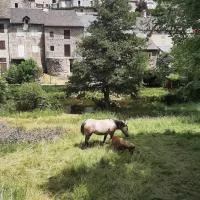 Maison de village Base-rando Margeride 1 Appart 6 personnes et 1 Duplex 8 personnes, hotel en Serverette