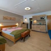 Hotel Apartment Das Au- Gut، فندق في هالين