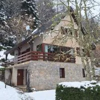 Beau chalet en vallée d'Ossau,拉蘭的飯店