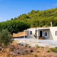 Mulberry Tree House, hotel em Póndi