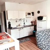 T2 Cosy, agréable fonctionnel et douillet, 1 lit 140 et un BZ , Wifi gratuit, boîte à clés, proche commerces et gare routière, linge de lit et toilette offerts à partir de 4 nuits, hotelli kohteessa Graulhet