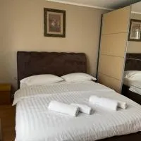 Casa Larisa Borsa, hotel u gradu 'Borsa'