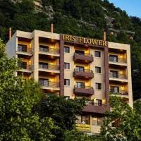 Iris Flower Hotel, hotelli kohteessa Jezzîne
