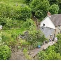 Tranquil Woodland Cottage by river Wye, hotel in Lydbrook