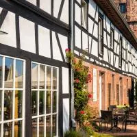 Hotel Vorderburg, Hotel in Schlitz