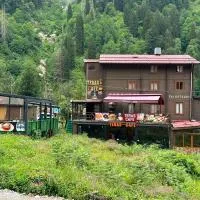 Ayder Serender Otel, ξενοδοχείο σε Çamlıhemşin