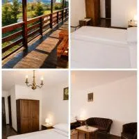 Pensiunea Alpin Marisel Self Check-in, Hotel in Mărişel