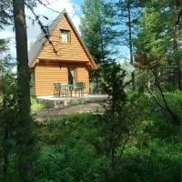 Durmitor Forest Retreat, ξενοδοχείο σε Žabljak