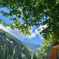 Mtiskari cottage in Utsera, ξενοδοχείο σε Utsera