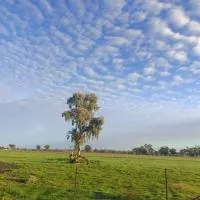 Dubbo Farm，達博的飯店