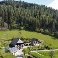 Obergießhof Waldbauernhof, khách sạn ở Hornberg