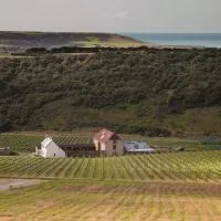 Flint Barns, Rathfinny Wine Estate, hotel Alfristonban