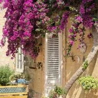 B&B Vernole1713, hotel en Vernole