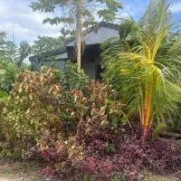 Taumeasina Island Beach Pod, hotel en Apia