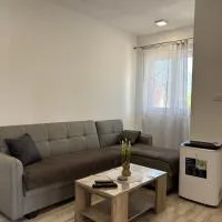 Lily Bloom Apartments, hotel Radanovićiban