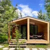 Consciousness Retreat Center Private Chalets in Nature, hotel din Marʼyanovka