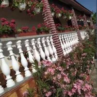 Олександр Апартамент, hotel en Velyka Bihanʼ