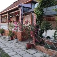 Ніколетта Апартамент, Hotel in Velyka Bihanʼ