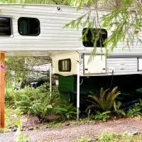 Camper for 2 less than half a mile from Mt Rainier, hotel u gradu 'Ashford'
