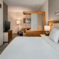 SpringHill Suites by Marriott Buffalo Airport, hotel v destinaci Williamsville