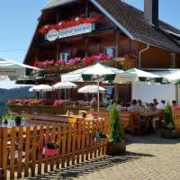 Schwarzwaldgasthaus Salenhof, hotel u gradu 'Titisee-Neustadt'
