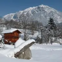 Chamonix petit chalet Cocooning, хотел в Серво