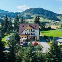 Pensiunea Valurile Bistritei, hotel u gradu 'Vatra Dornei'