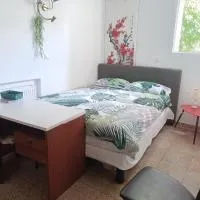 3 private rooms shared flat in a villa at Sceaux 600m RER B direct to Notre-Dame, hotel en Sceaux