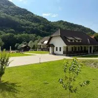 Pensiunea Agroturistica Regia, hotel en Hunedoara