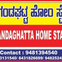 Gandagatta Home Stay, Hotel in Sringeri