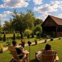 Căsuța cu tihnă, hotel v destinácii Porumbacu de Sus