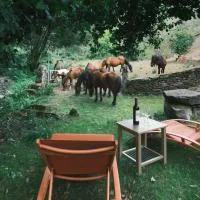 Casa Grande de Covas-Rural Boutique & Agroturismo en la Ribeira Sacra, hotel u gradu Taboada