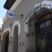 Hotel Condesa Elisa Santiago NL Main Square, hotel di Santiago