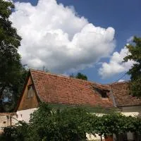 Dominic Boutique - Casa Mare, hotel i Cloaşterf