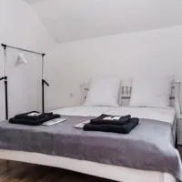 Anamyra, hotel u gradu 'Mizhhirya'