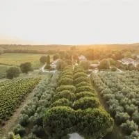 Meneghetti Wine Hotel and Winery - Relais & Chateaux, готель у місті Бале