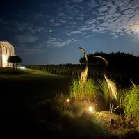 Casa Kashubia - Kaszuby Domek nad jeziorem I cisza natura i luksus, hotell i Brzeźno Szlacheckie