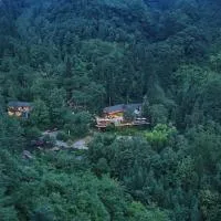 Dujiangyan Lucky Wild Mountain Forest Luxury Homestay, hotel Tucsiangjenben
